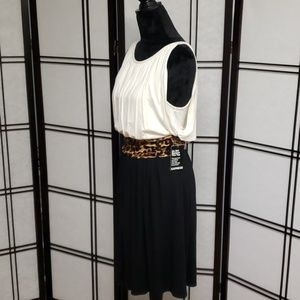 Express sleeveless dress